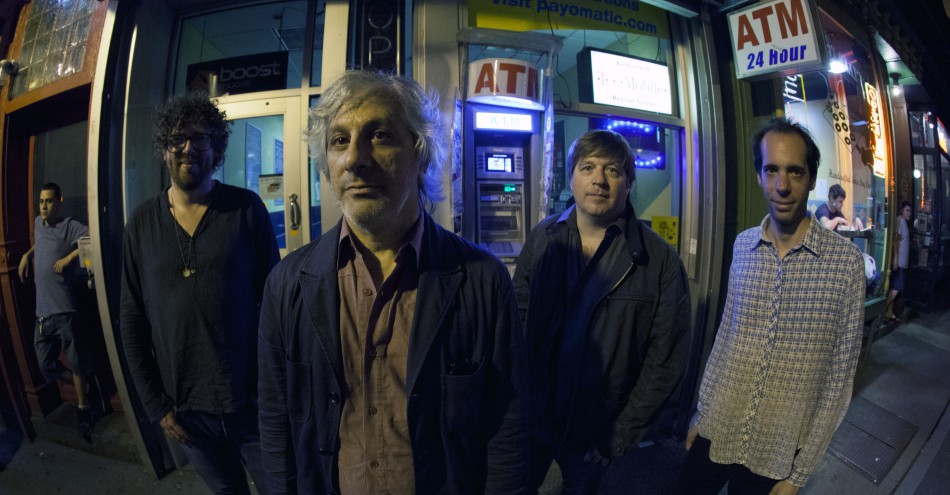 LEE RANALDO AND THE DUST BY MICHAEL LAVINE 1